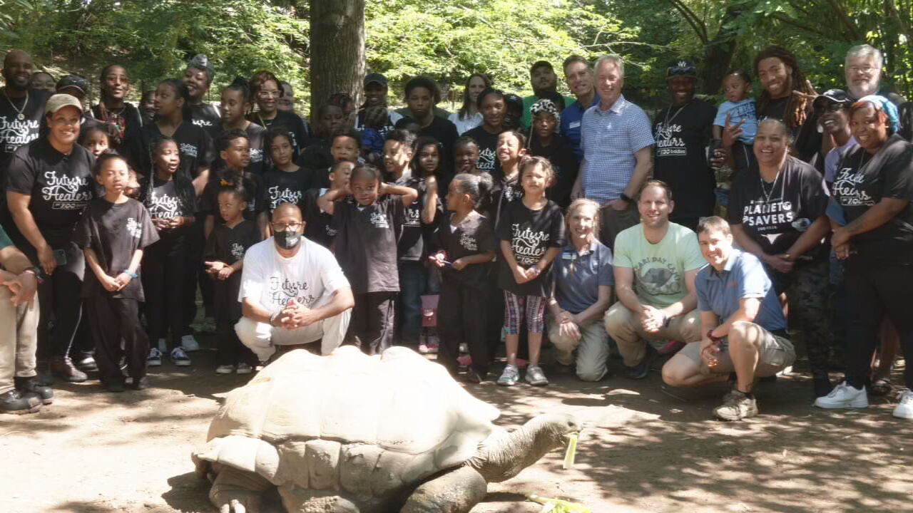 Zoo Buddies